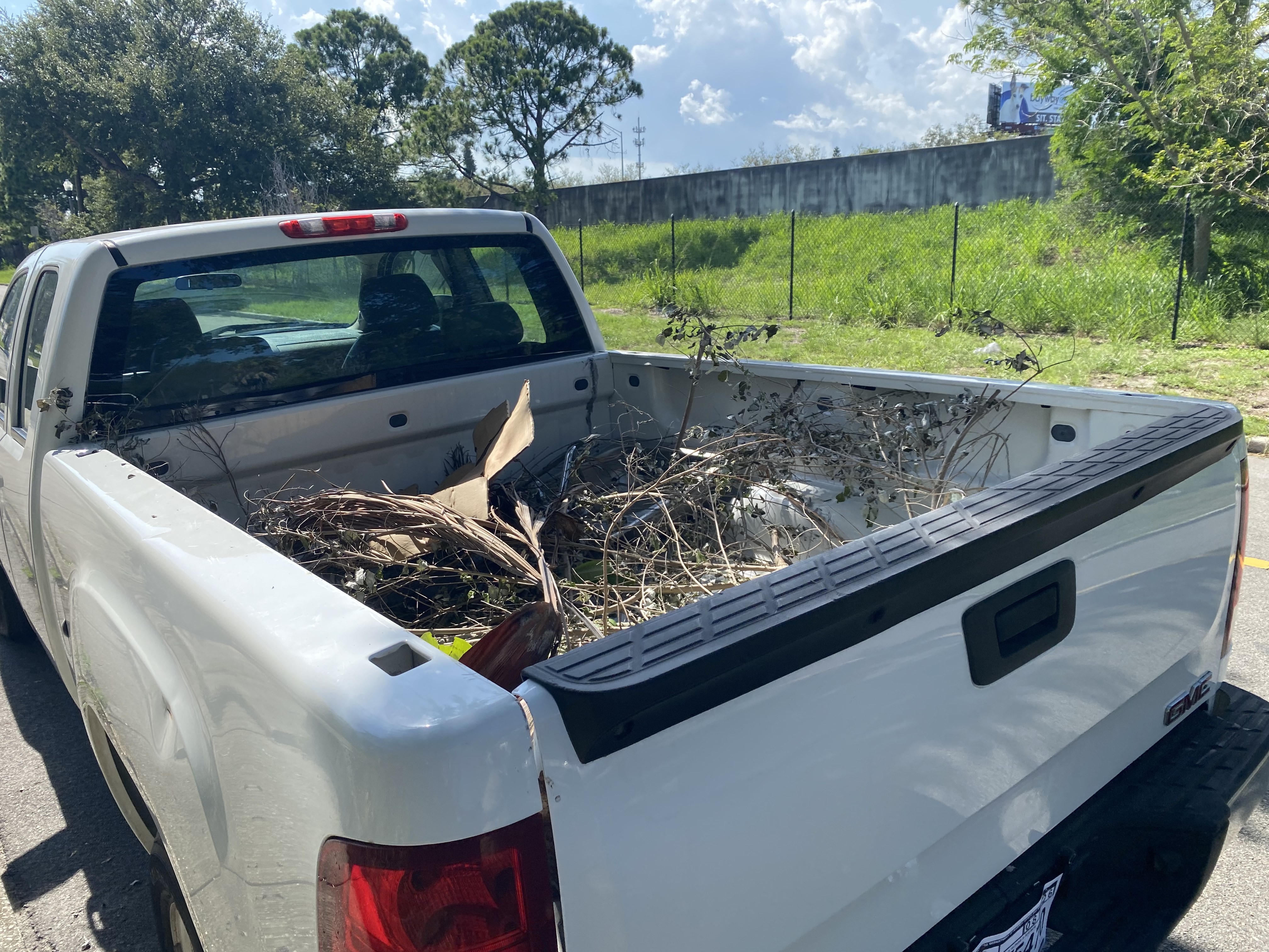 Truck bed loaded with yard debris and branches after a Tampa cleanup