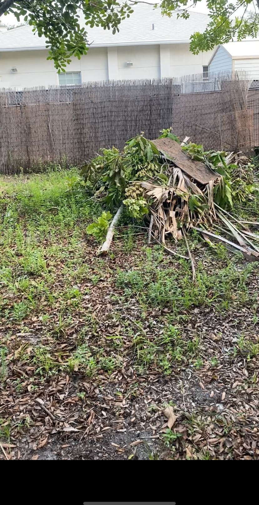 Backyard brush and palm frond pile cleared by Daniel's Junk Removal